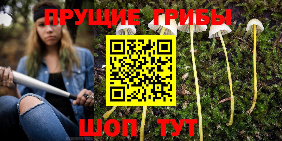 Рязань  Псилоцибиновые грибы мицелий  Вход с VPN  Галлюциногенные грибы мухоморы 
