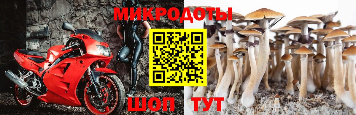 Псилоцибиновые грибы ЛСД Рязань